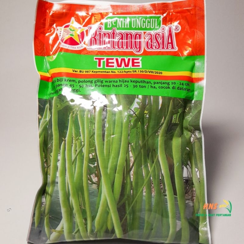 Benih Buncis Tewe 500gr | Bintang Asia