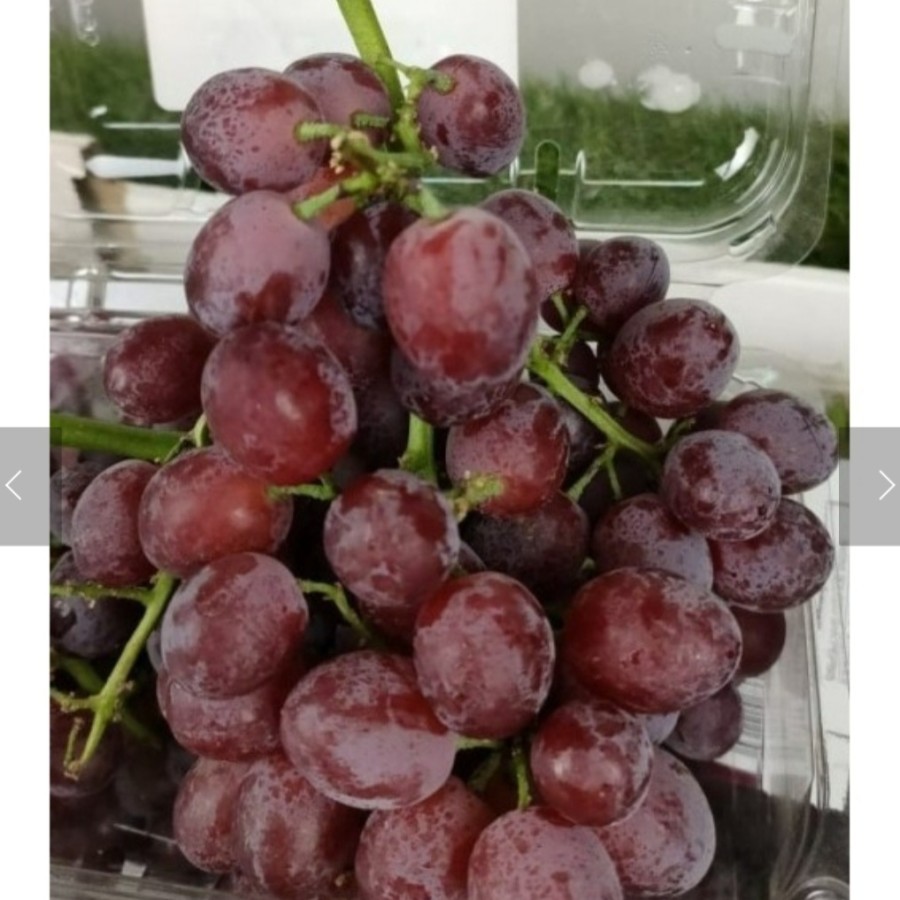 

Anggur Candy Snap Heart Grape 500 grm
