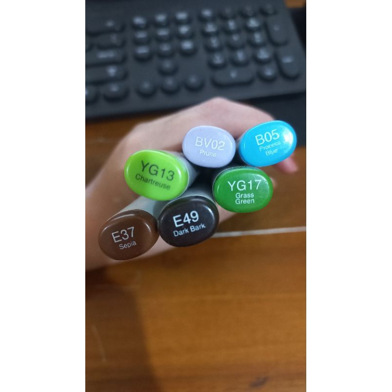 

Copic Marker Preloved E49 E37 YG17 YG13 BV02 B05