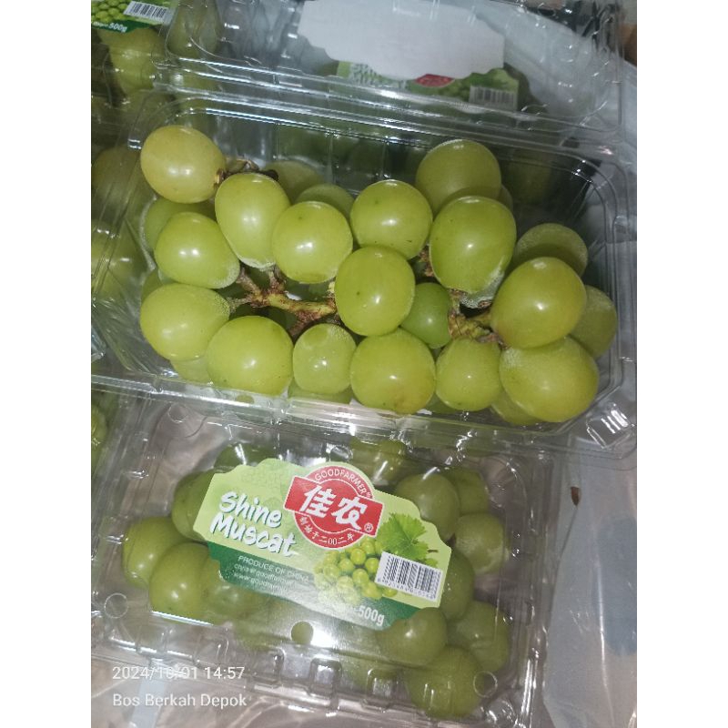 

Anggur Hijau Shine Muscat 500gr
