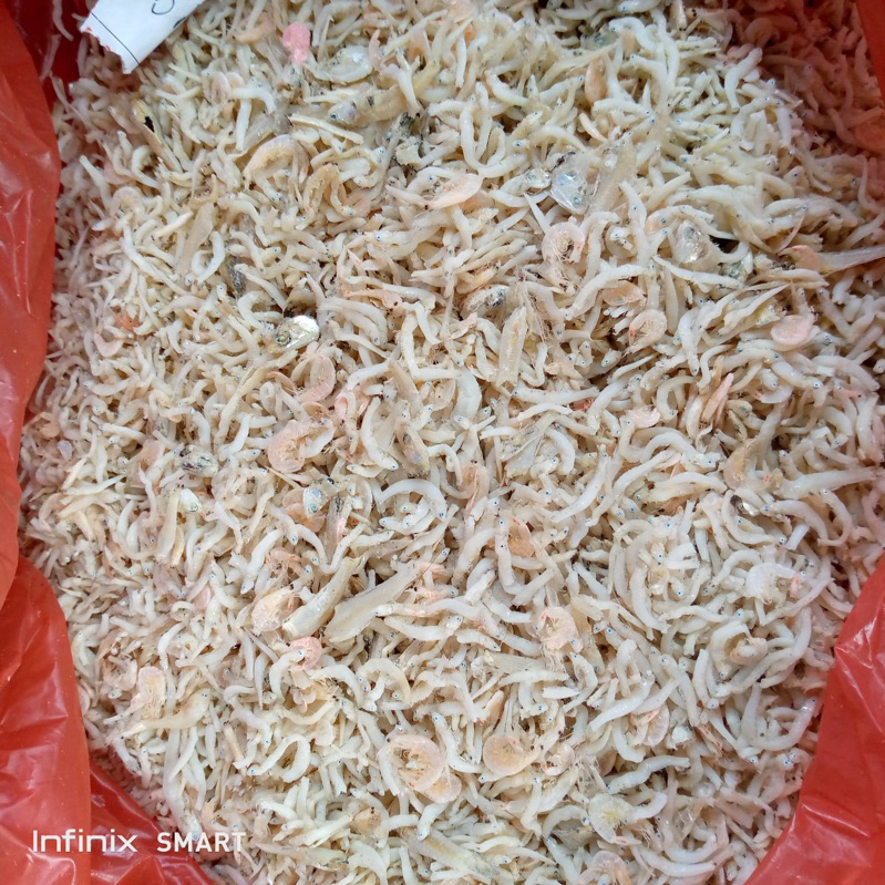 

Ikan teri medan