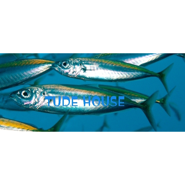

Ikan Layang Kecil Beku / Frozen Isi 300gr