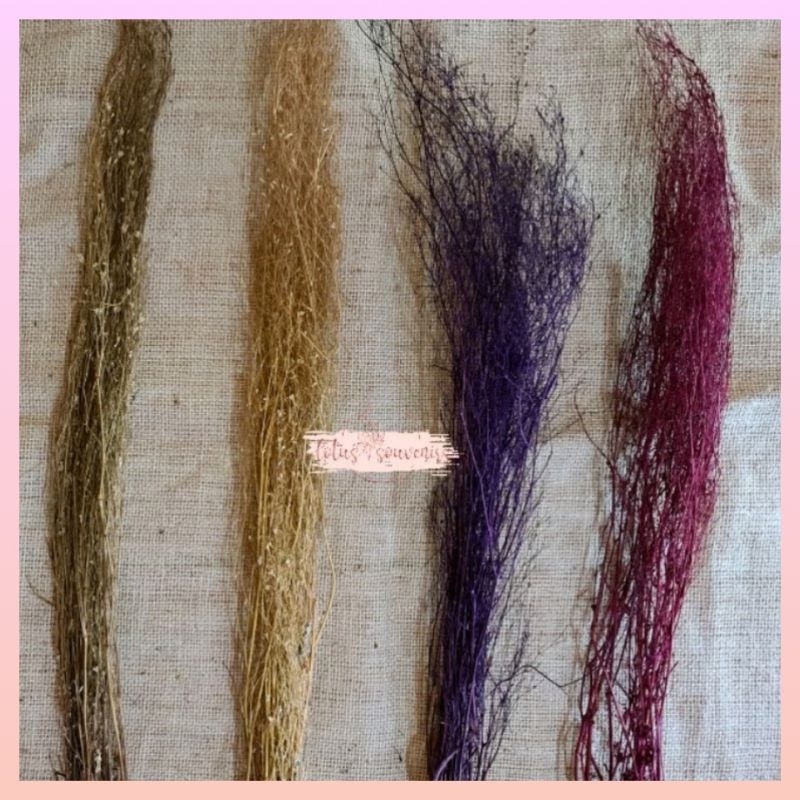 Ranting kayu | ranting bintang | bahan kerajinan alam