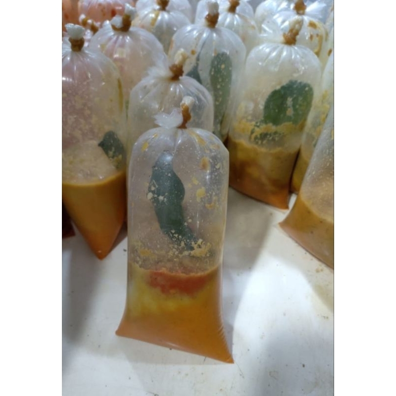 

Bumbu Ungkep Ayam Goreng ll Kebun Sayur