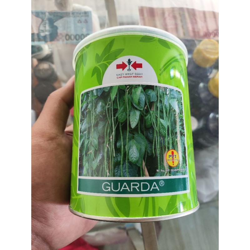 

Benih Tanaman Umbi Sayuran Kacang Panjang Guarda F1 (Cap Panah Merah) Isi 500 Btr Expayed 2025 Tahan Simpan, produksi tinggi, Perawatan Mudah