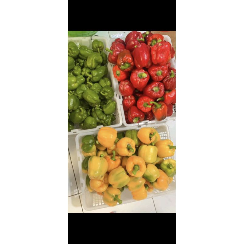 

Paprika fresh 1kg mix