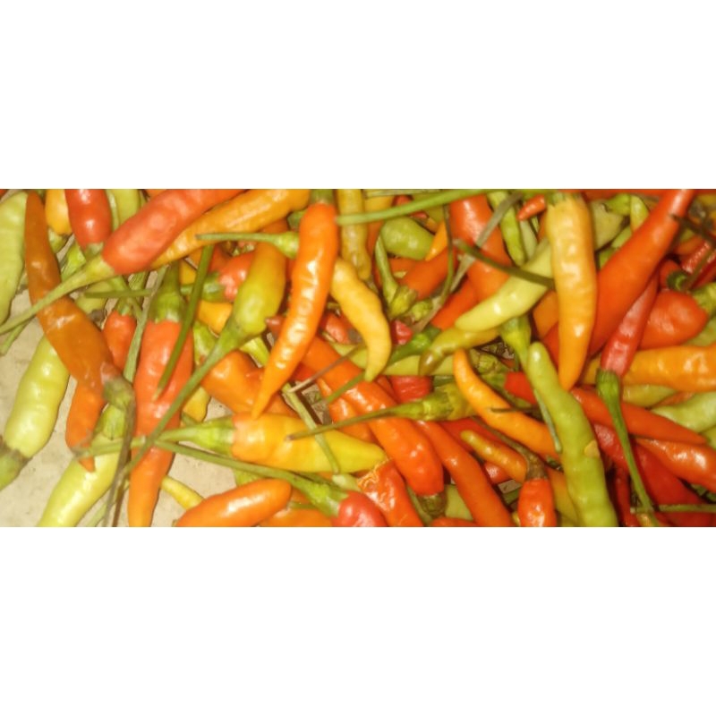 

cabe rawit