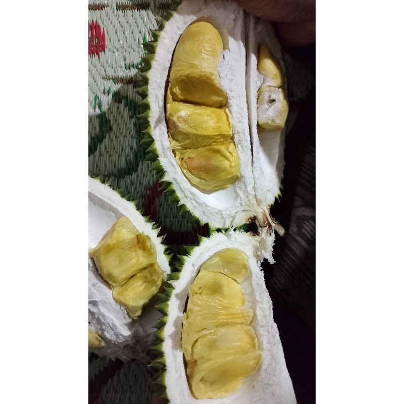 

Durian kuning Fress 1/2buah/manis pahit
