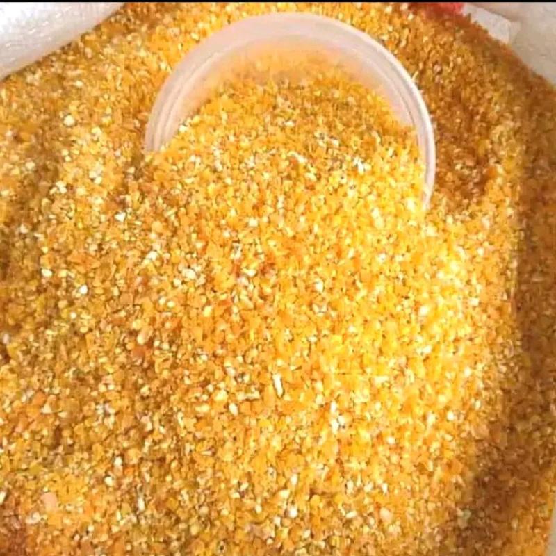 

Termurah-Beras Jagung 1 kg | Nasi Jagung Diet Murah Asli Madura