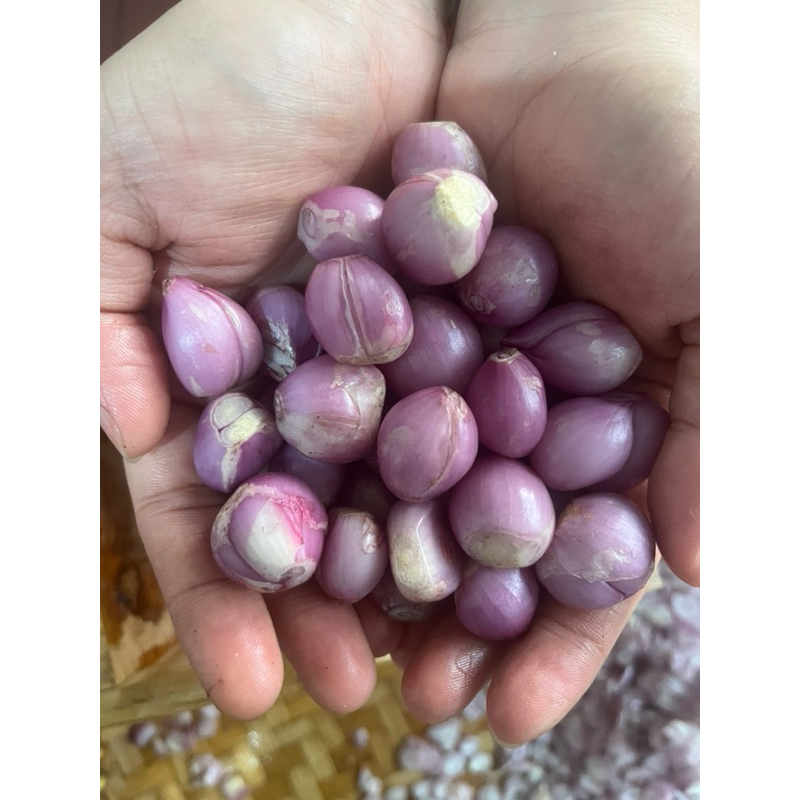

Bawang Merah Kupas 500 gram