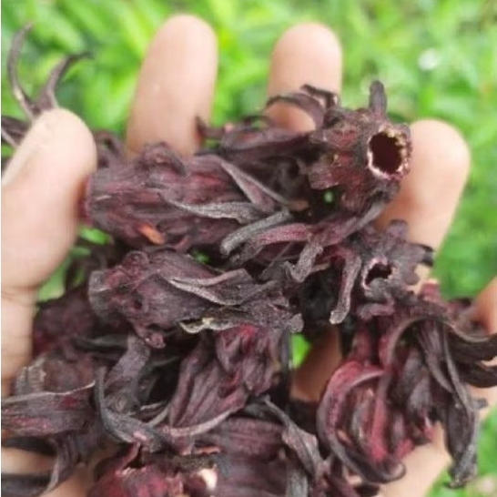 

Bunga Rosella Ungu Kering 250 Gram teh Rosela ungu
