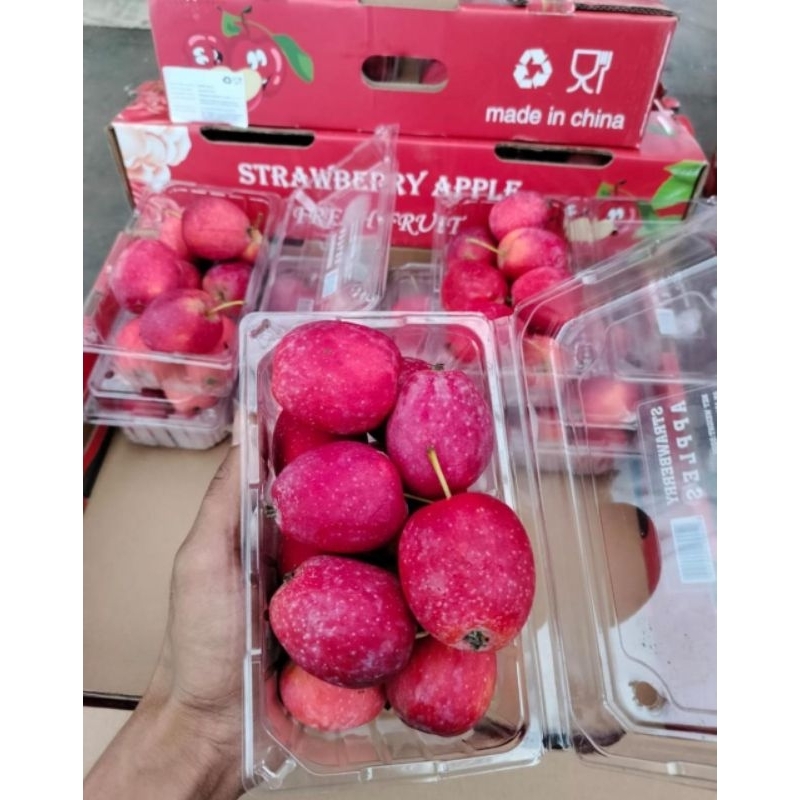 

Apple Strawberry / Apel Stroberi