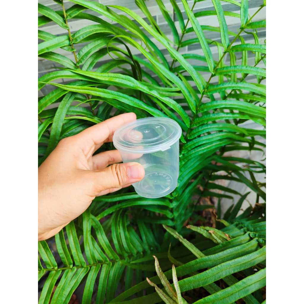 Thinwall 100ml Bulat Cup Puding atau Salad Buah