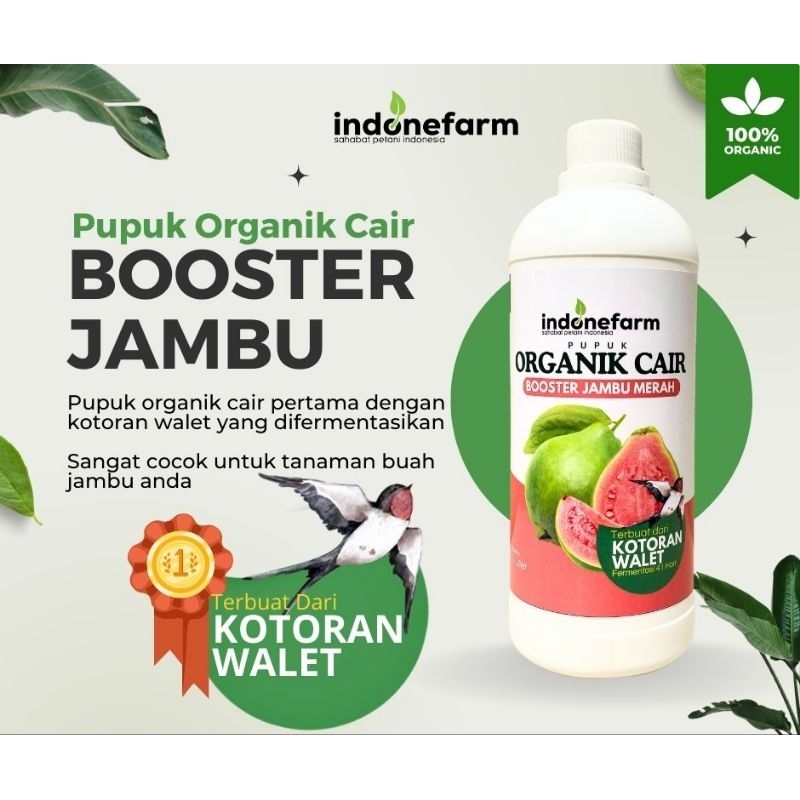 PUPUK KOTORAN WALET | COR ORGANIK BUAH JAMBU | Terbuat Dari Kotoran Walet Asli | Fermentasi 41 Hari
