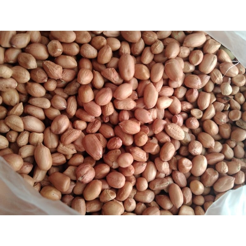 

Kacang tanah mentah, india bumbu dapur dan bahan makanan