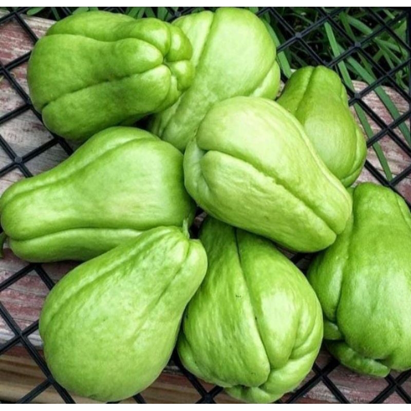 

Labu acar(500gr)