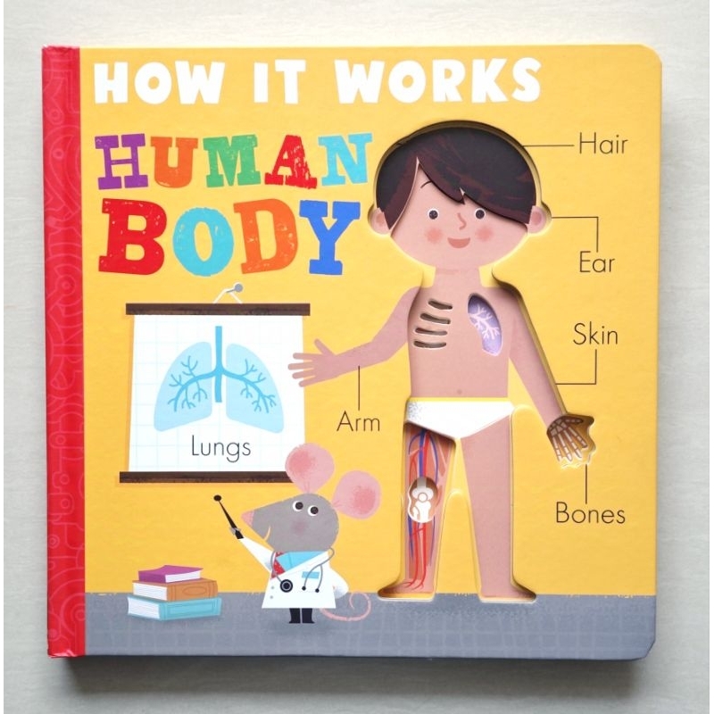 Little Tiger - How It Works: Human Body (Ukuran Besar) Large Edition (Board Book)