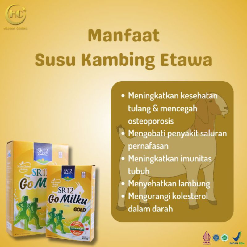 

Susu Kambing Etawa Go Milku Gold SR12