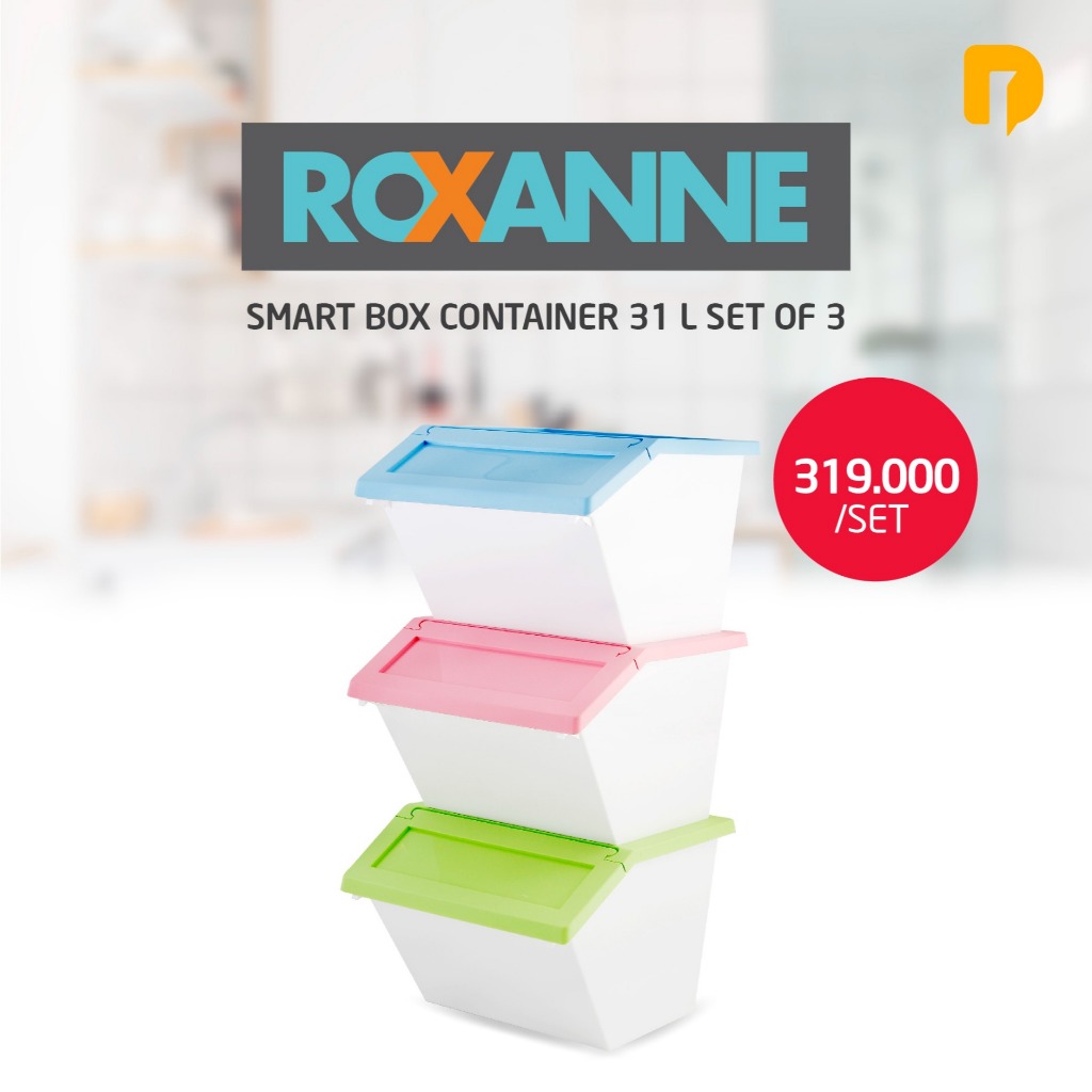 Roxanne Smart Box Container Set Of 3