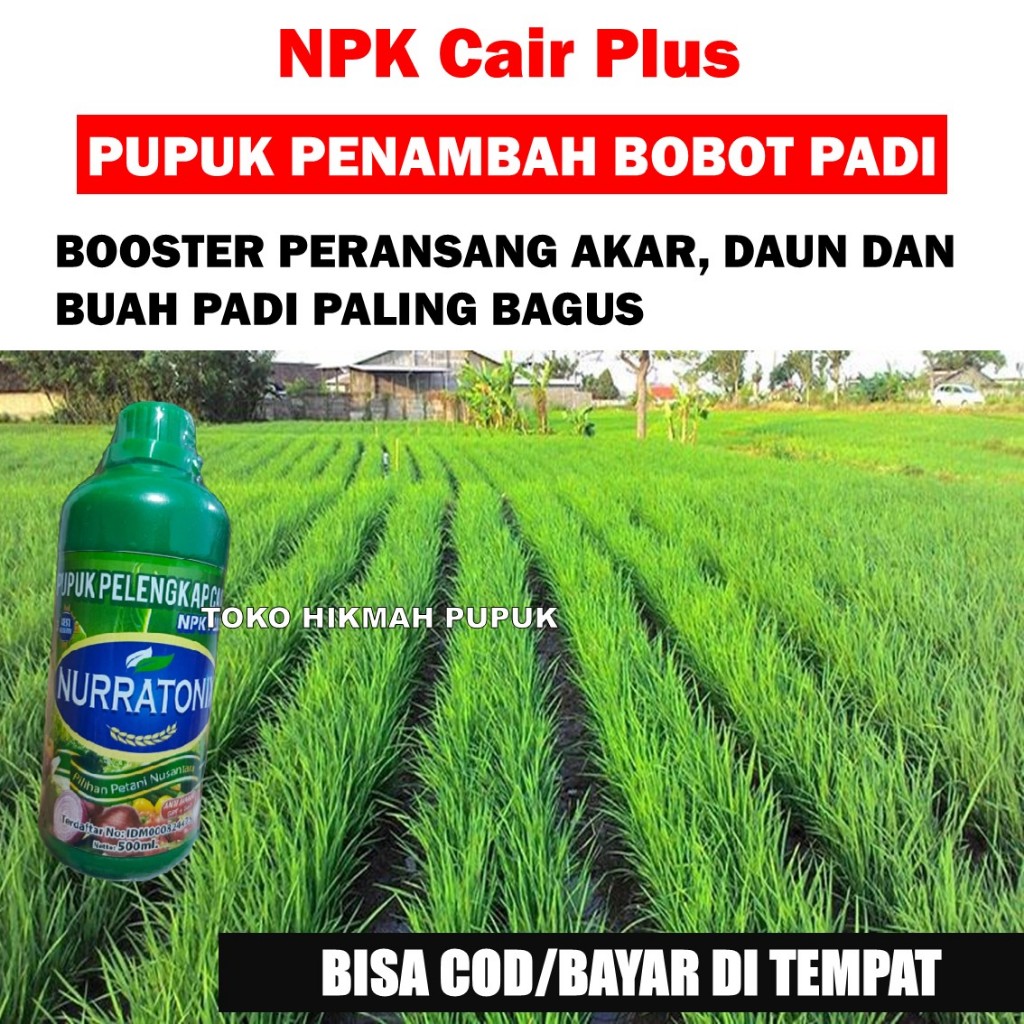 OBAT PELEBAT TANAMAN ANAKAN PADI & Jenis Padi Sawah Lainnya NPK Cair Plus - Obat Penyubur Padi, Pupu