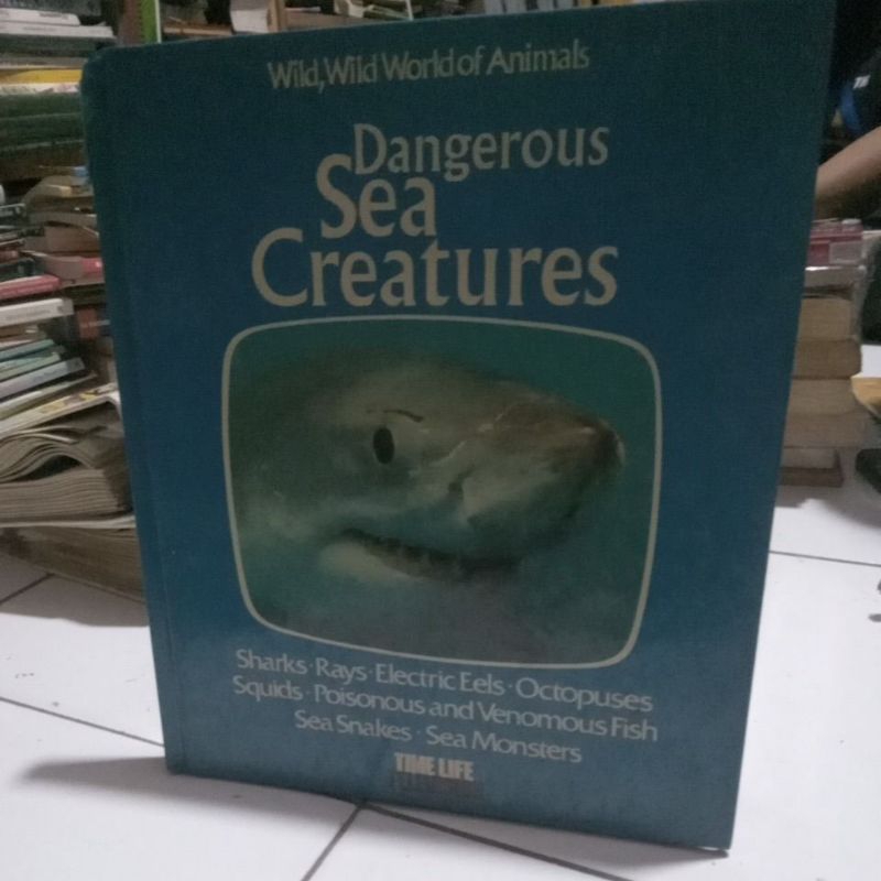 dangerous sea creatures