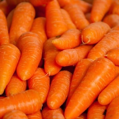 

wortel | Green Garden | tanya stock dahulu | hammysnotes