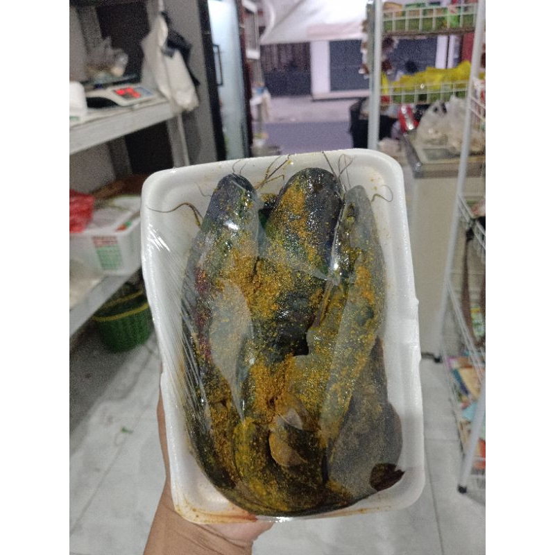 

Ikan Lele Marinasi Siap goreng