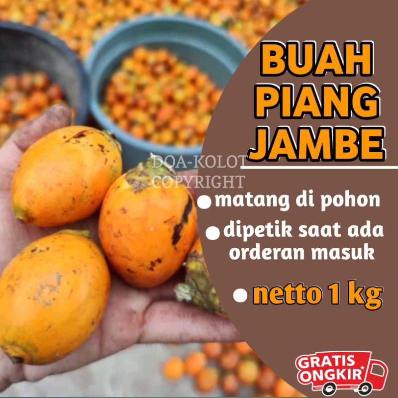 

Buah Pinang Jambe Segar 1kg Matang di Pohon