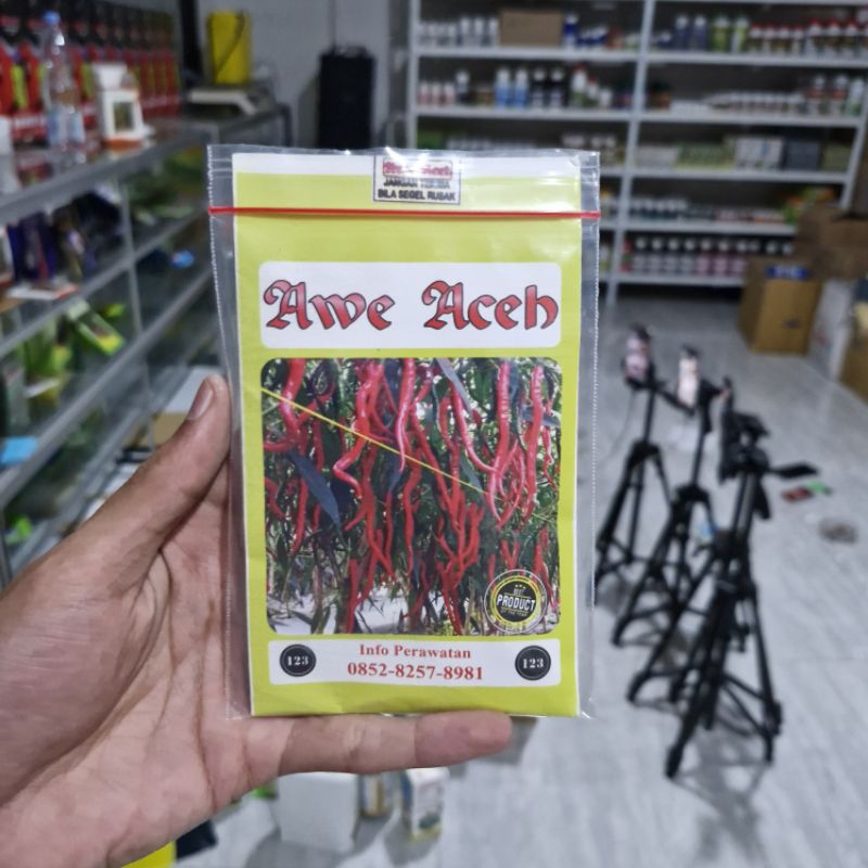 benih cabe keriting awe aceh cabe lokal