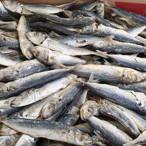 

Ikan asin layang rebus-500gram