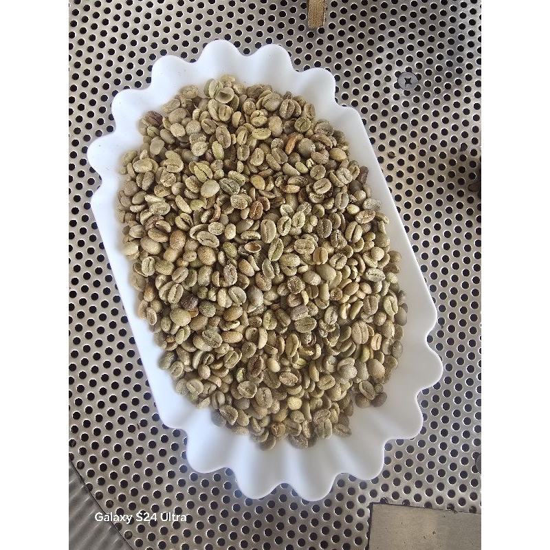 

Greenbean Komersil Arabika 1 KG