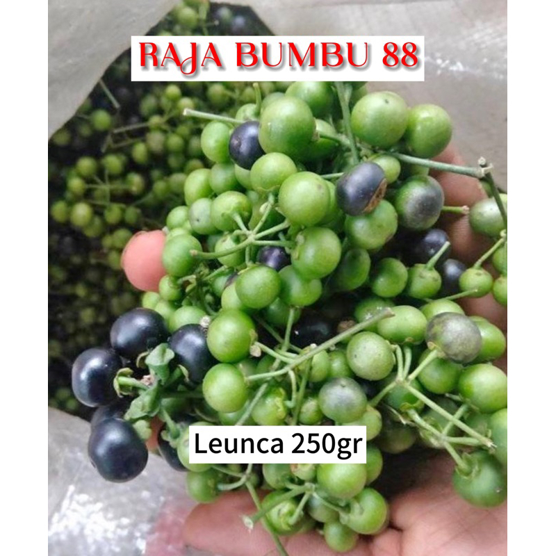 

LEUNCA 250gr