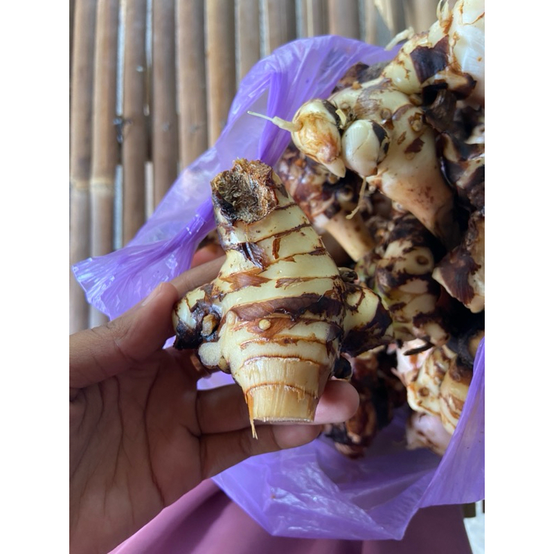 

lengkuas ready stok 1kg