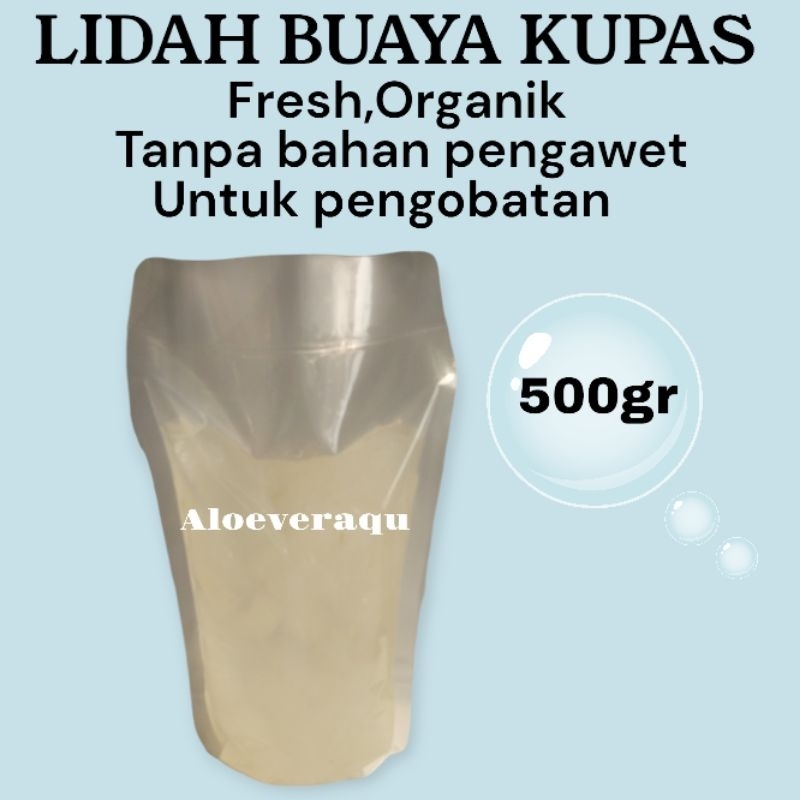 

Lidah Buaya Kupas / Aloevera Kupas Murni (500gr)