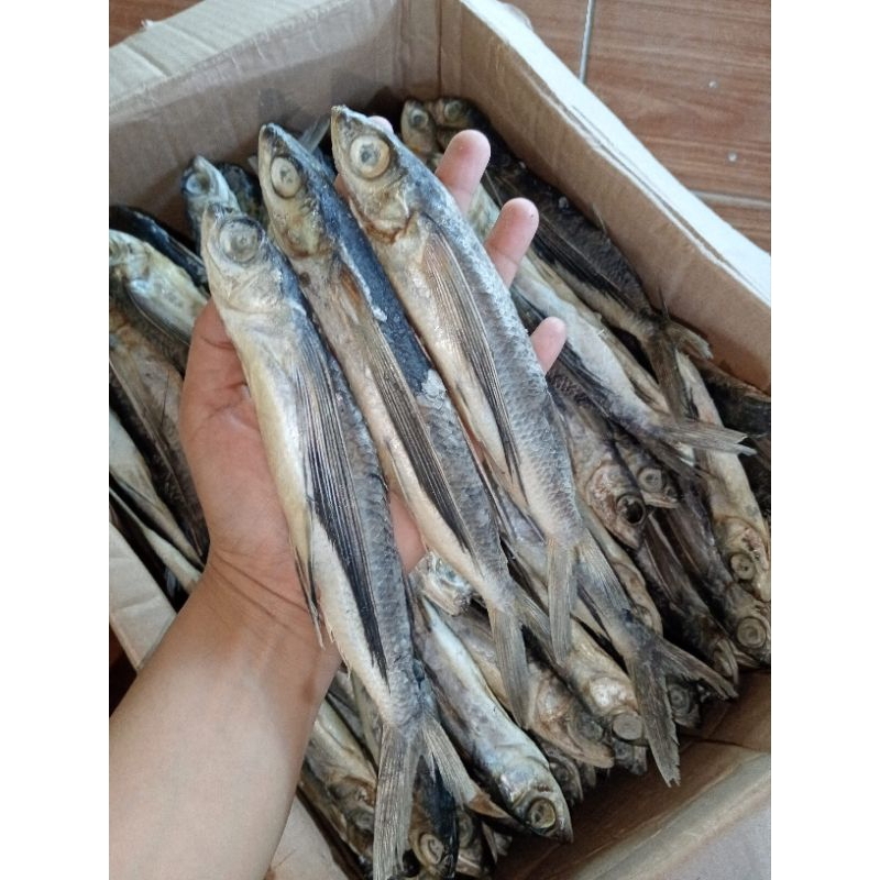 

IKAN TERBANG BUNDAR 1kg