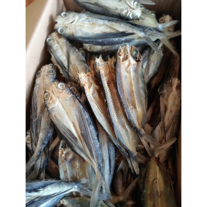 

IKAN TERBANG BELAH 1kg