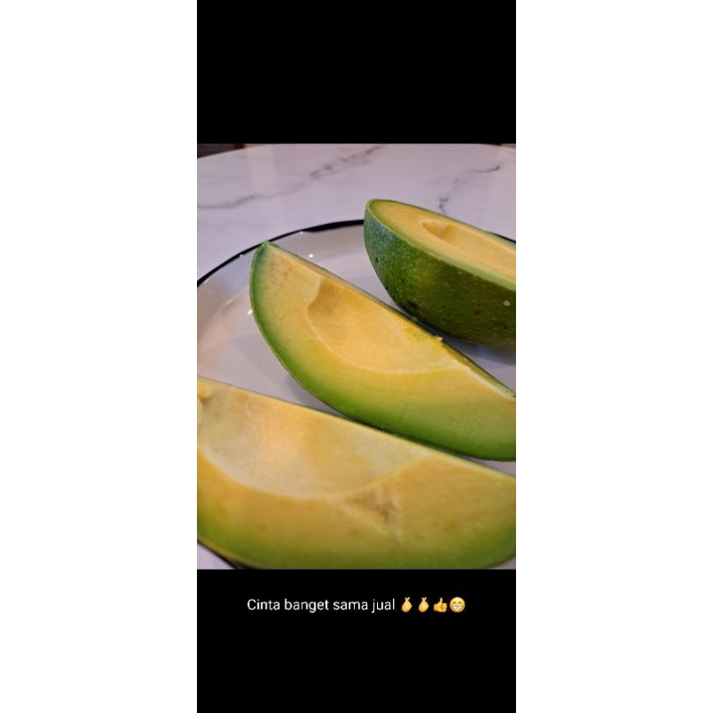 

alpukat mentega Lampung