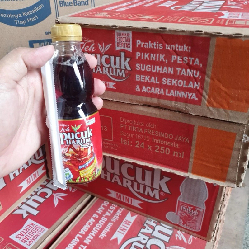 

TEH PUCUK HARUM 250ML