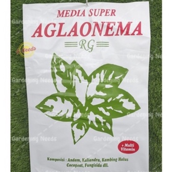 Media Tanam Aglonema  Aglaonema  Aglo Siap Pakai