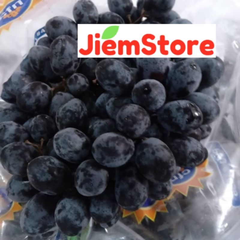 

Anggur Hitam Black Autumn Seedless Buah Segar Fresh Fruit