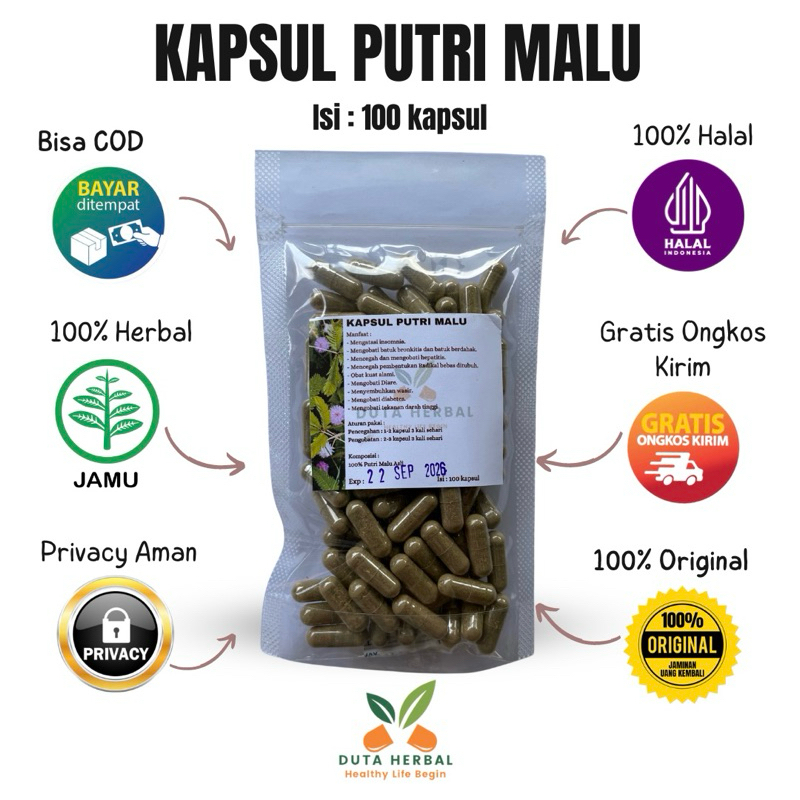 Kapsul Putri Malu Isi 100 Asli Herbal