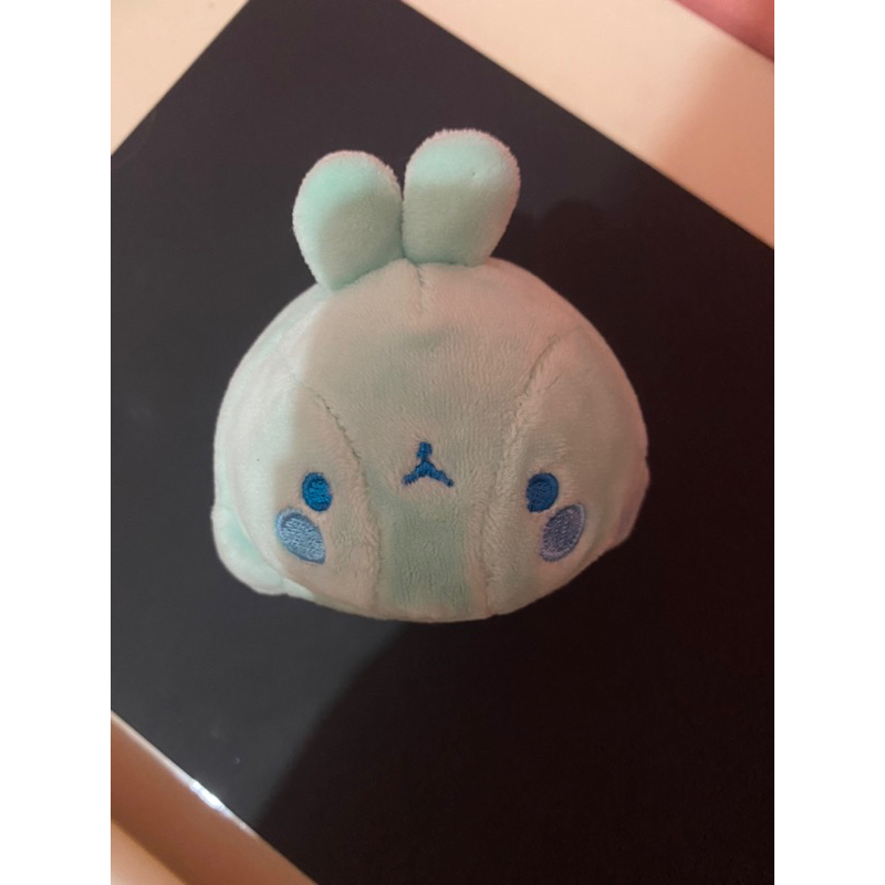 Gantungan Kunci Ganci Molang