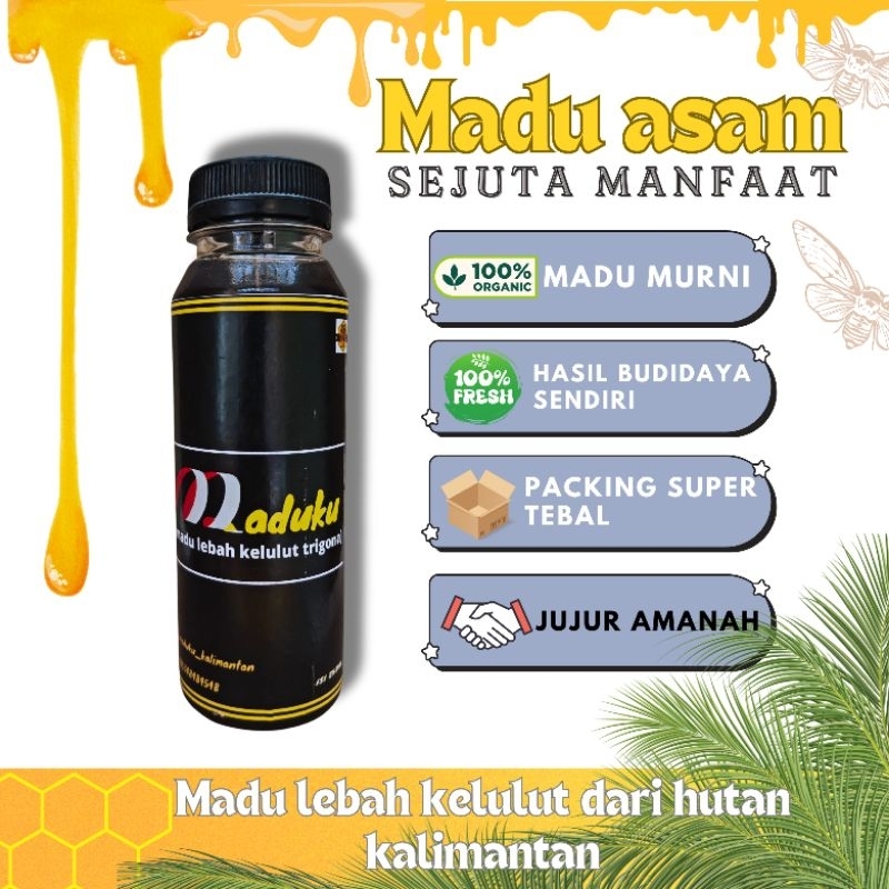 

Madu murni lebah kelulut dari kalimantan ( 250ml )