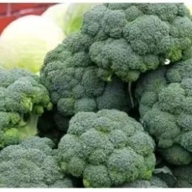 

brokoli bandung fresh