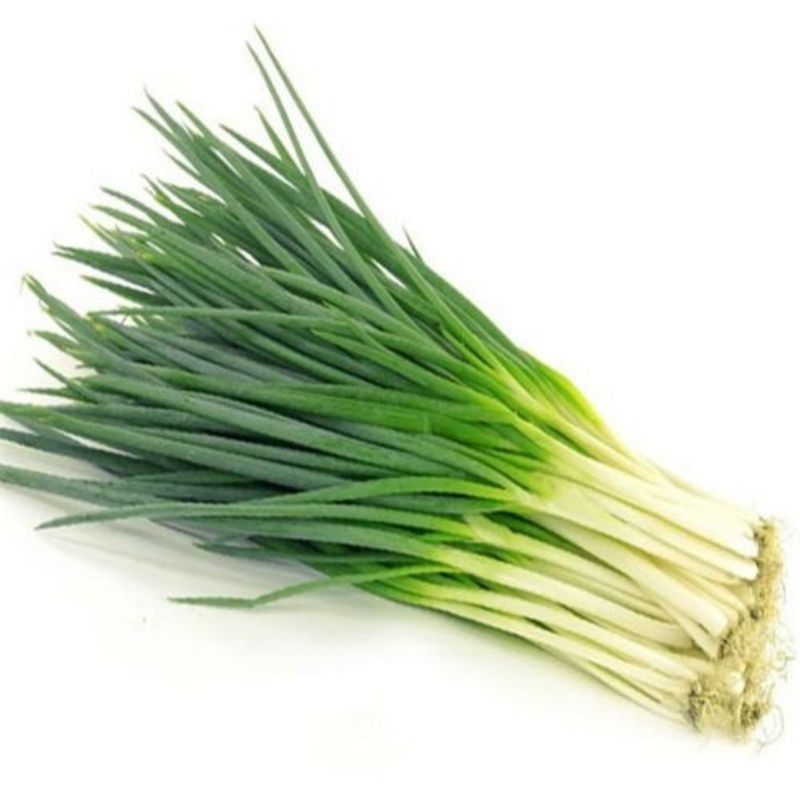 

daun bawang fresh 500gram