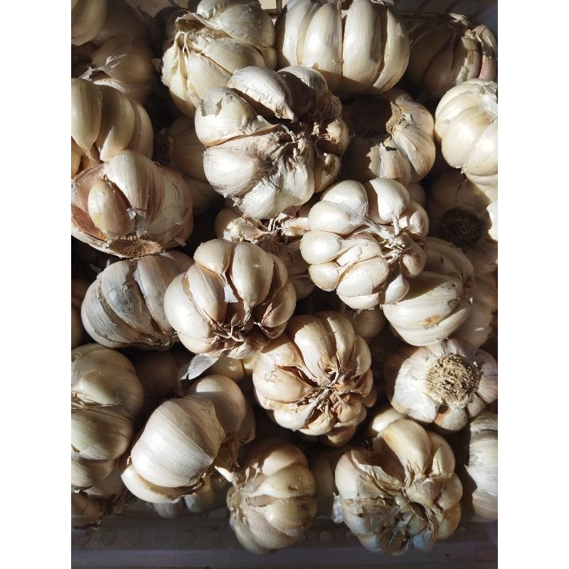 

Bawang Putih Garlic Reguler 100 Gram
