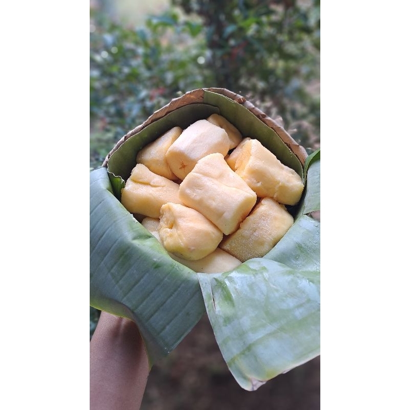 

Tape Singkong Mentega Khas Gembong Pati