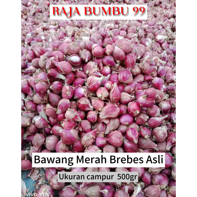 

BAWANG MERAH ASLI BREBES ukuran CAMPUR 500 gr