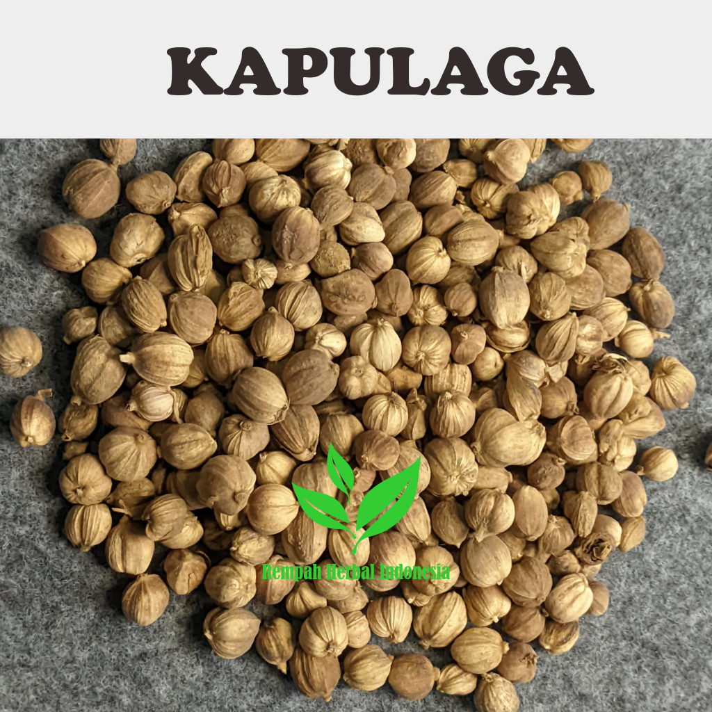 

100 Gr kapulaga Kapulogo Kering / cardamom Organik Kualitas Premium Tanpa Bahan Pengawet