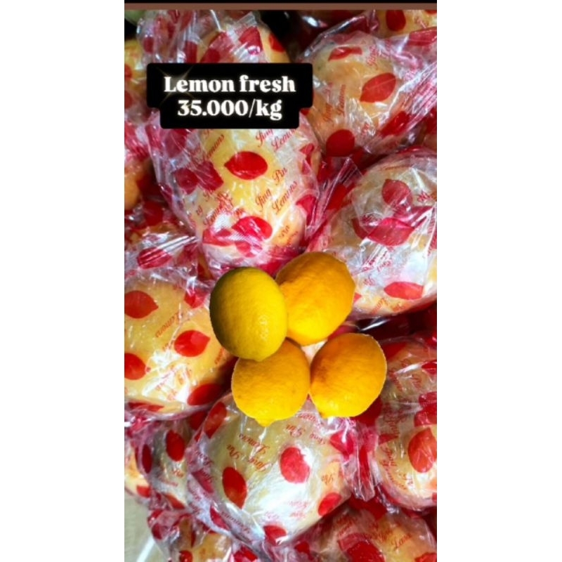 

Jeruk Lemon Import